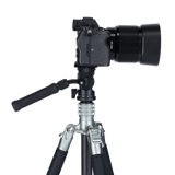 V5i Pro video head