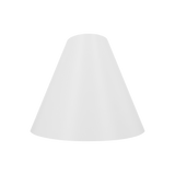 light cone
